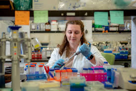 New mRNA injection is step forward in 'quest' to find preeclampsia cure